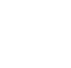 Foundation